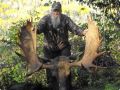 moose hunts 24