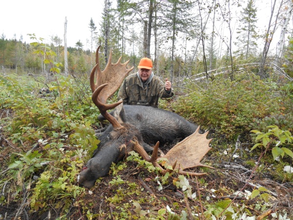 Trophy Moose Hunting in Maine