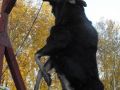 moose hunts 18