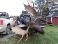moose hunts 19