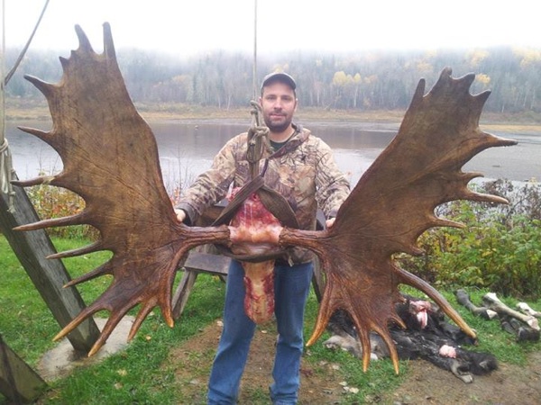 Moose Hunting In Maine